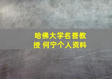 哈佛大学名誉教授 何宁个人资料